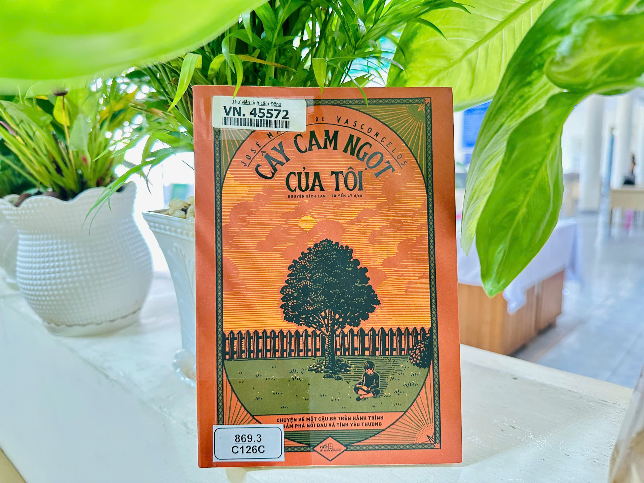 Giới thiệu cuốn sách “Cây cam ngọt của tôi” - Khi tuổi thơ cũng biết đau và biết yêu thương 
